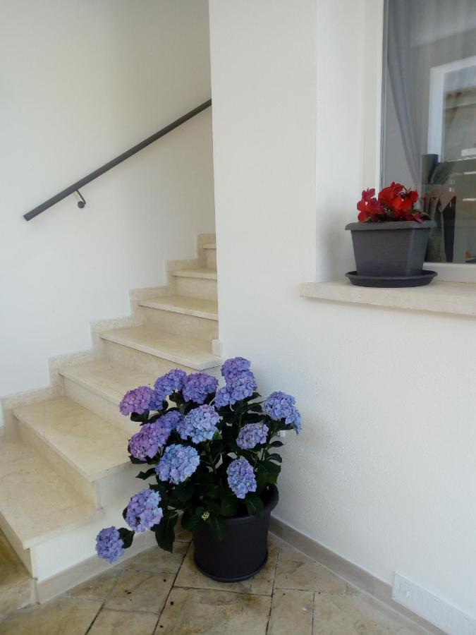 카포텔라 Il Colle Del Barone B&B 외부 사진